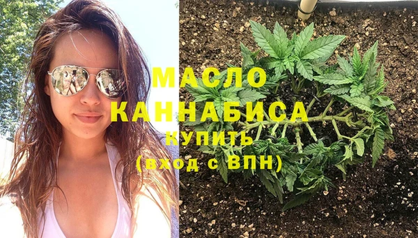 тгк Абаза
